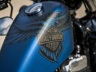 Harley-Davidson Harley Davidson XL 1200X Forty-Eight 115th Anniversary